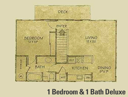 Floor Plan 1 Bedroom and 1 Bath Deluxe Unit